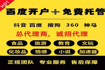 百度竞价广告案例分析：成功之道揭秘